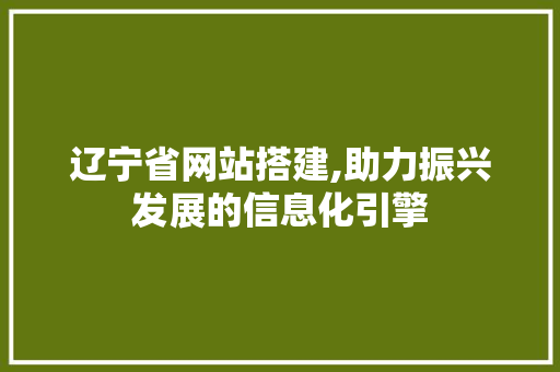 辽宁省网站搭建,助力振兴发展的信息化引擎
