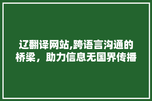 辽翻译网站,跨语言沟通的桥梁，助力信息无国界传播 辽翻译网站,跨语言沟通的桥梁，助力信息无国界传播 网站建设公司