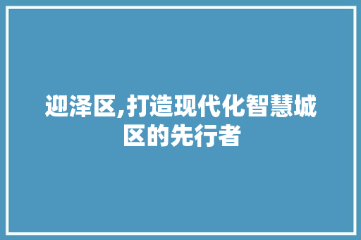 迎泽区,打造现代化智慧城区的先行者 迎泽区,打造现代化智慧城区的先行者 必应SEO