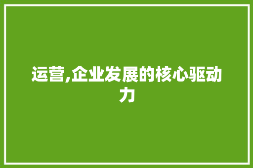 运营,企业发展的核心驱动力 运营,企业发展的核心驱动力 SEO关键词