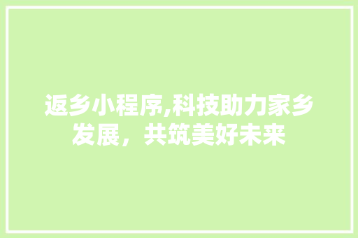 返乡小程序,科技助力家乡发展，共筑美好未来 返乡小程序,科技助力家乡发展，共筑美好未来 神马SEO