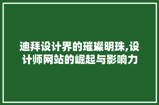 迪拜设计界的璀璨明珠,设计师网站的崛起与影响力 迪拜设计界的璀璨明珠,设计师网站的崛起与影响力 神马SEO