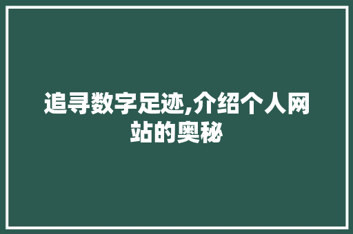 追寻数字足迹,介绍个人网站的奥秘 追寻数字足迹,介绍个人网站的奥秘 必应SEO