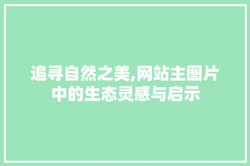 追寻自然之美,网站主图片中的生态灵感与启示 追寻自然之美,网站主图片中的生态灵感与启示 SEO关键词