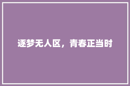 逐梦无人区，青春正当时 逐梦无人区，青春正当时 网站建设公司