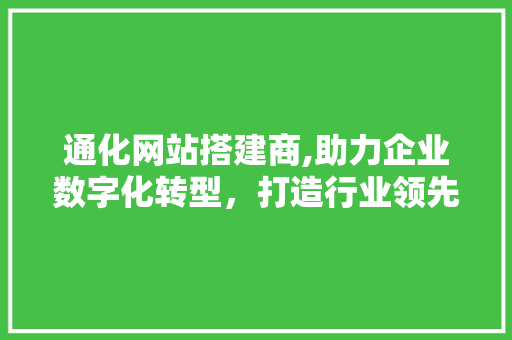通化网站搭建商,助力企业数字化转型，打造行业领先品牌
