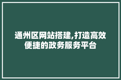 通州区网站搭建,打造高效便捷的政务服务平台 通州区网站搭建,打造高效便捷的政务服务平台 SEO关键词