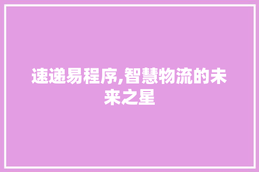 速递易程序,智慧物流的未来之星