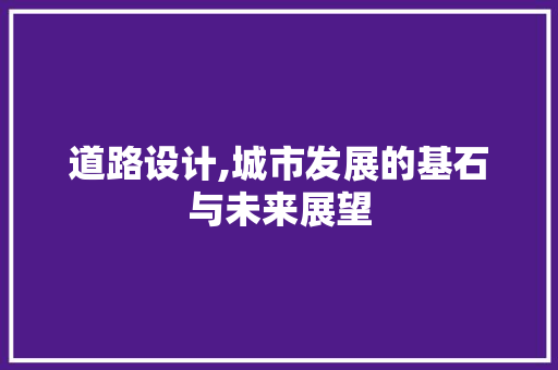 道路设计,城市发展的基石与未来展望
