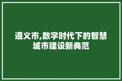 遵义市,数字时代下的智慧城市建设新典范 遵义市,数字时代下的智慧城市建设新典范 必应SEO