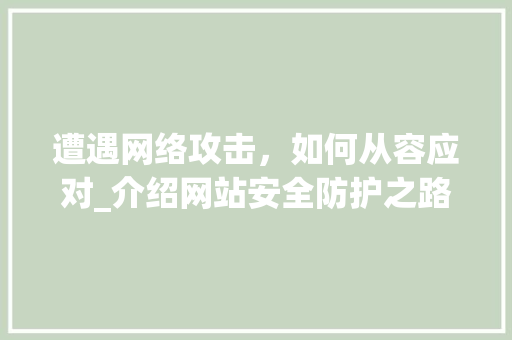 遭遇网络攻击，如何从容应对_介绍网站安全防护之路 遭遇网络攻击，如何从容应对_介绍网站安全防护之路 神马SEO