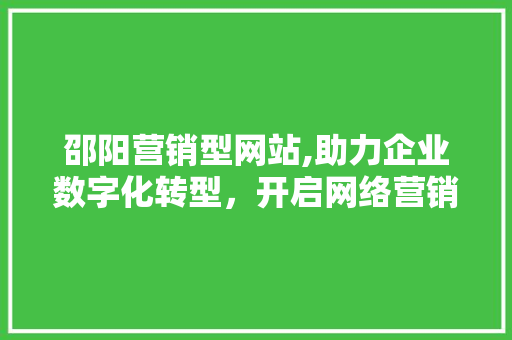邵阳营销型网站,助力企业数字化转型，开启网络营销新篇章 邵阳营销型网站,助力企业数字化转型，开启网络营销新篇章 搜狗SEO