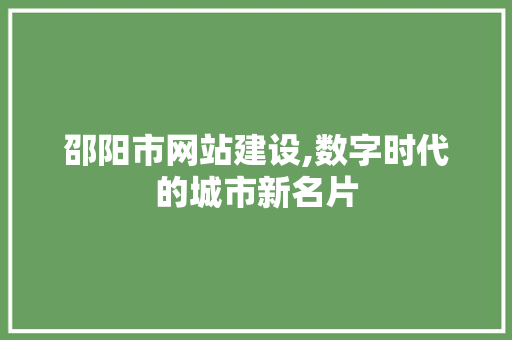 邵阳市网站建设,数字时代的城市新名片