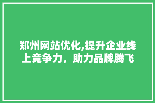 郑州网站优化,提升企业线上竞争力，助力品牌腾飞 郑州网站优化,提升企业线上竞争力，助力品牌腾飞 神马SEO