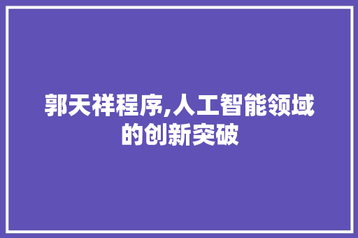 郭天祥程序,人工智能领域的创新突破 郭天祥程序,人工智能领域的创新突破 网站建设公司