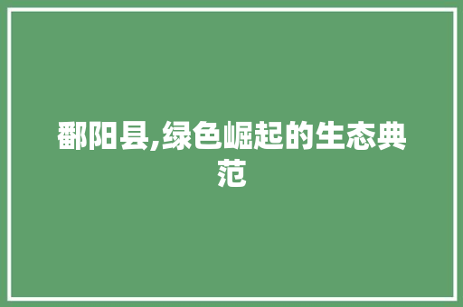 鄱阳县,绿色崛起的生态典范 鄱阳县,绿色崛起的生态典范 必应SEO