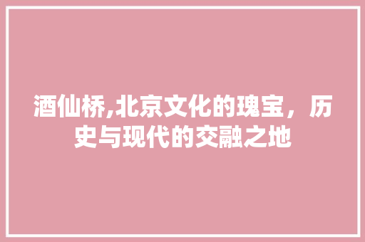 酒仙桥,北京文化的瑰宝，历史与现代的交融之地 酒仙桥,北京文化的瑰宝，历史与现代的交融之地 神马SEO