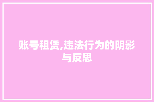 账号租赁,违法行为的阴影与反思 账号租赁,违法行为的阴影与反思 神马SEO