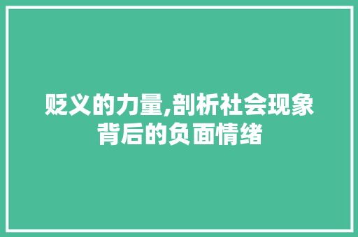 贬义的力量,剖析社会现象背后的负面情绪 贬义的力量,剖析社会现象背后的负面情绪 网站建设公司