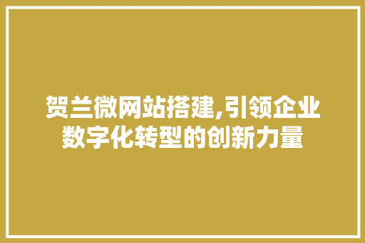 贺兰微网站搭建,引领企业数字化转型的创新力量 贺兰微网站搭建,引领企业数字化转型的创新力量 网站建设公司