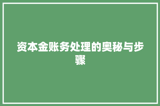 资本金账务处理的奥秘与步骤 资本金账务处理的奥秘与步骤 百度SEO