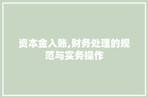 资本金入账,财务处理的规范与实务操作 资本金入账,财务处理的规范与实务操作 神马SEO