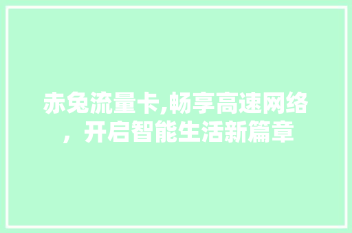 赤兔流量卡,畅享高速网络，开启智能生活新篇章 赤兔流量卡,畅享高速网络，开启智能生活新篇章 网站建设公司