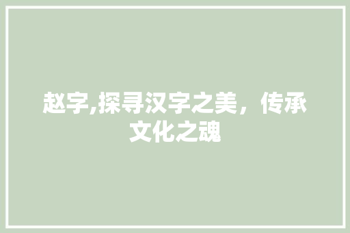 赵字,探寻汉字之美，传承文化之魂 赵字,探寻汉字之美，传承文化之魂 搜狗SEO