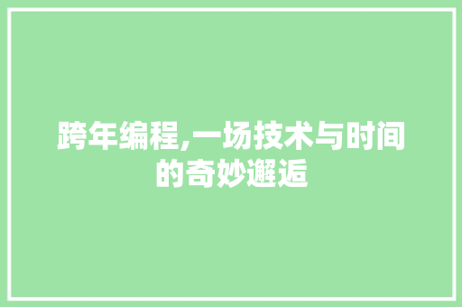 跨年编程,一场技术与时间的奇妙邂逅 跨年编程,一场技术与时间的奇妙邂逅 搜狗SEO