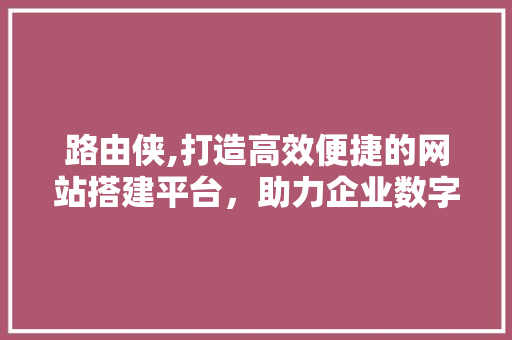 路由侠,打造高效便捷的网站搭建平台，助力企业数字化转型 路由侠,打造高效便捷的网站搭建平台，助力企业数字化转型 网站建设公司