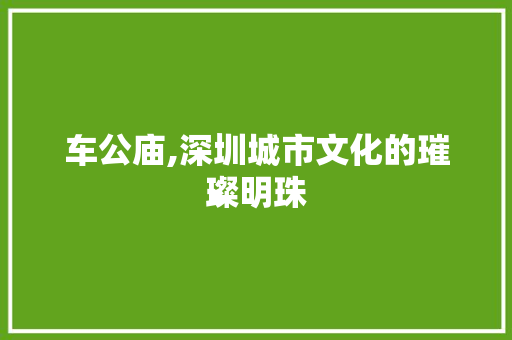 车公庙,深圳城市文化的璀璨明珠