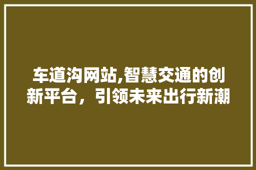 车道沟网站,智慧交通的创新平台，引领未来出行新潮流 车道沟网站,智慧交通的创新平台，引领未来出行新潮流 网站建设公司