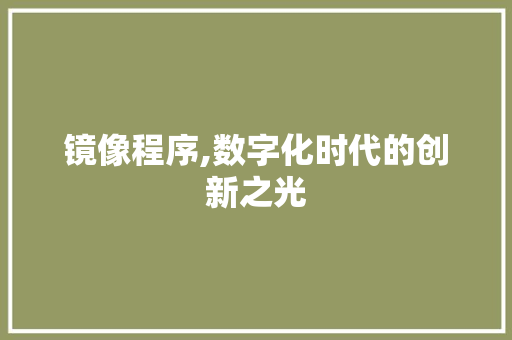 镜像程序,数字化时代的创新之光