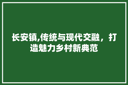 长安镇,传统与现代交融，打造魅力乡村新典范 长安镇,传统与现代交融，打造魅力乡村新典范 百度SEO