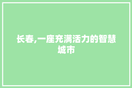 长春,一座充满活力的智慧城市 长春,一座充满活力的智慧城市 网站建设公司