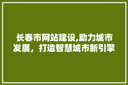 长春市网站建设,助力城市发展，打造智慧城市新引擎 长春市网站建设,助力城市发展，打造智慧城市新引擎 SEO关键词