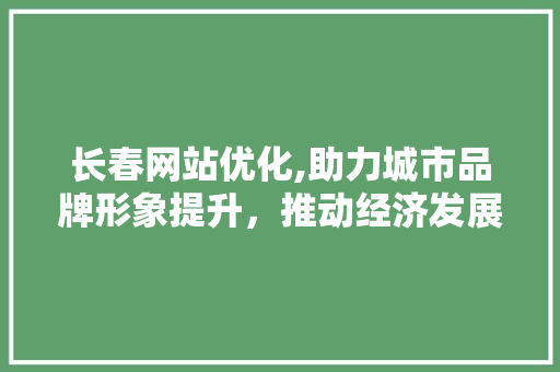 长春网站优化,助力城市品牌形象提升，推动经济发展 长春网站优化,助力城市品牌形象提升，推动经济发展 搜狗SEO
