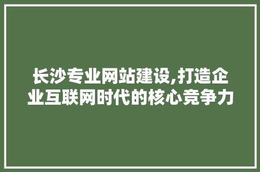 长沙专业网站建设,打造企业互联网时代的核心竞争力 长沙专业网站建设,打造企业互联网时代的核心竞争力 神马SEO