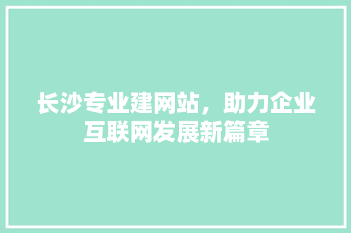 长沙专业建网站，助力企业互联网发展新篇章 长沙专业建网站，助力企业互联网发展新篇章 网站建设公司