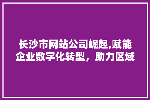长沙市网站公司崛起,赋能企业数字化转型，助力区域经济发展