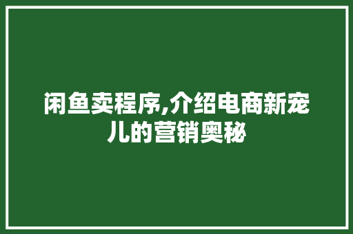 闲鱼卖程序,介绍电商新宠儿的营销奥秘 闲鱼卖程序,介绍电商新宠儿的营销奥秘 百度SEO