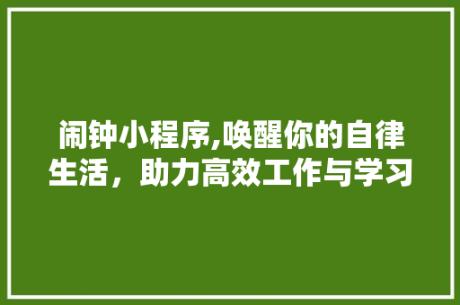 闹钟小程序,唤醒你的自律生活，助力高效工作与学习 闹钟小程序,唤醒你的自律生活，助力高效工作与学习 必应SEO