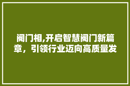 阀门相,开启智慧阀门新篇章，引领行业迈向高质量发展 阀门相,开启智慧阀门新篇章，引领行业迈向高质量发展 SEO关键词