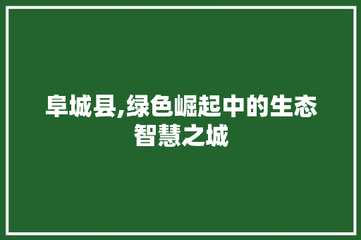 阜城县,绿色崛起中的生态智慧之城 阜城县,绿色崛起中的生态智慧之城 SEO关键词