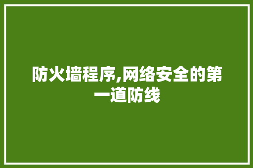 防火墙程序,网络安全的第一道防线 防火墙程序,网络安全的第一道防线 百度SEO