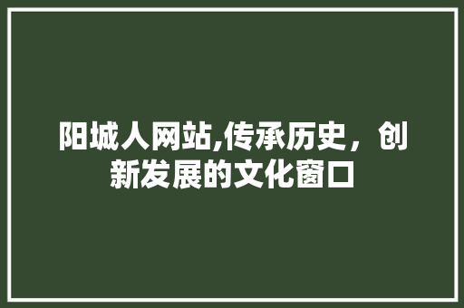 阳城人网站,传承历史，创新发展的文化窗口 阳城人网站,传承历史，创新发展的文化窗口 网站建设公司