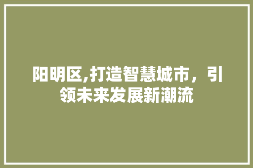 阳明区,打造智慧城市，引领未来发展新潮流 阳明区,打造智慧城市，引领未来发展新潮流 百度SEO