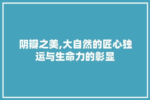 阴瓣之美,大自然的匠心独运与生命力的彰显 阴瓣之美,大自然的匠心独运与生命力的彰显 必应SEO