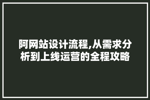 阿网站设计流程,从需求分析到上线运营的全程攻略 阿网站设计流程,从需求分析到上线运营的全程攻略 必应SEO