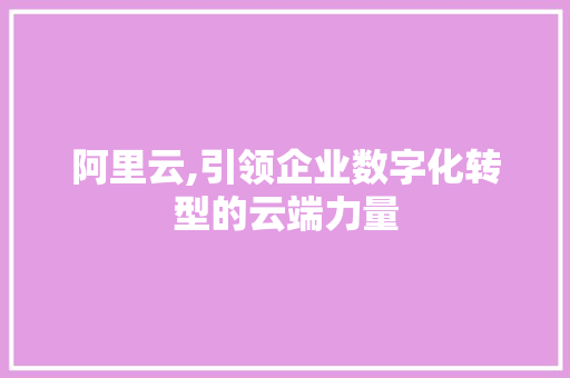阿里云,引领企业数字化转型的云端力量 阿里云,引领企业数字化转型的云端力量 百度SEO